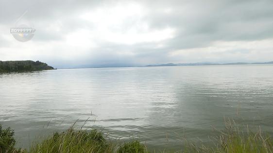 DƬ